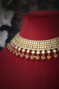 Dhanee Necklace Set