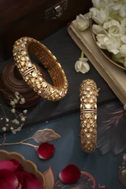 Trishika Bangles