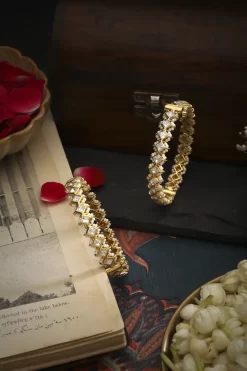 Arrya Bangles