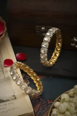 Aadita Bangles